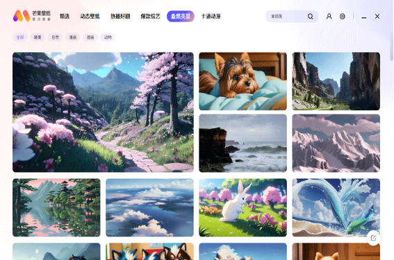 芒果壁纸