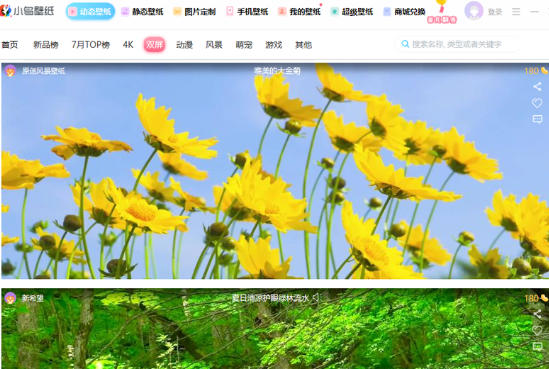 小鸟动态壁纸