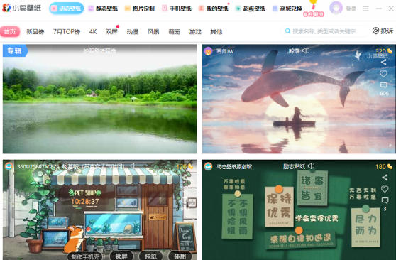 小鸟动态壁纸