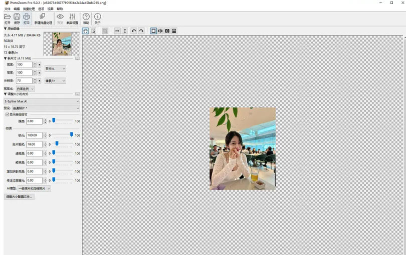 图像无损放大BenVista PhotoZoom Pro截图
