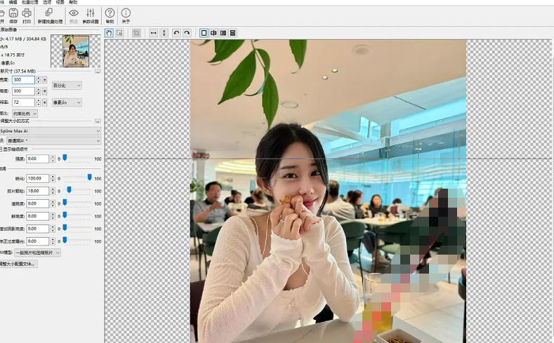 图像无损放大BenVista PhotoZoom Pro截图