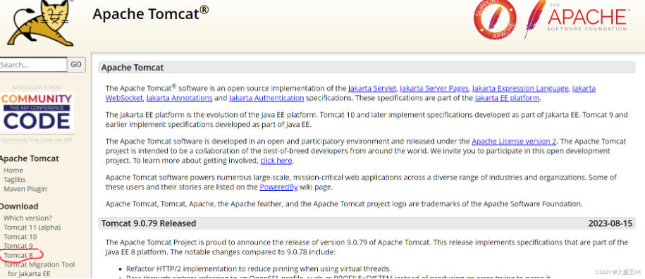 Tomcat
