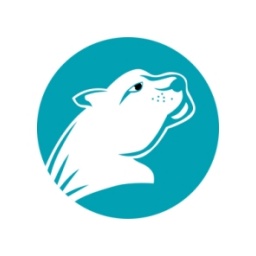 獵豹加速器