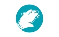 猎豹加速器段首LOGO