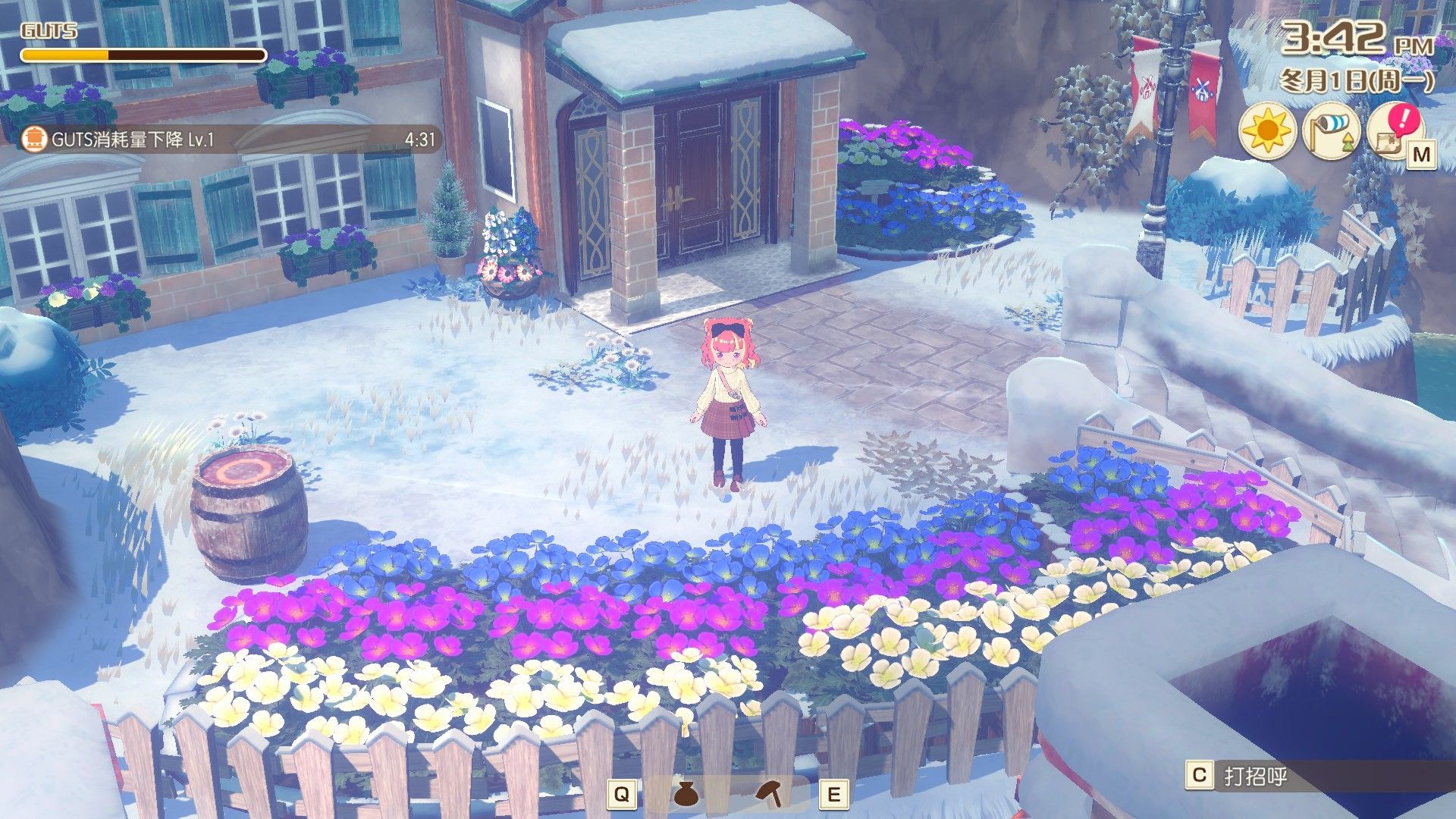 牧场物语 来吧！风之繁华集市