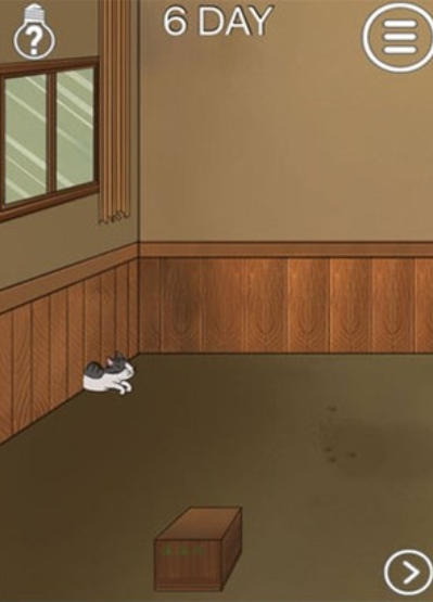 我的猫咪找不到了下载