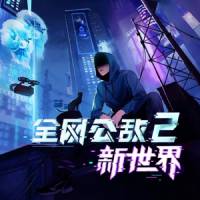 全网公敌2:新世界