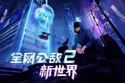 全网公敌2:新世界