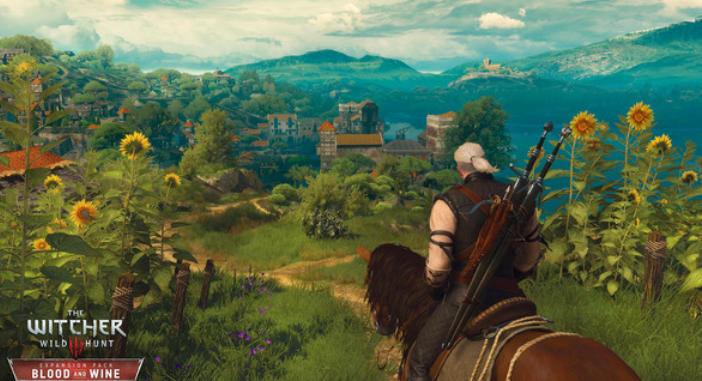 巫师3血与酒截图