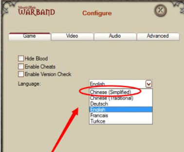 骑马与砍杀战团官方最新版