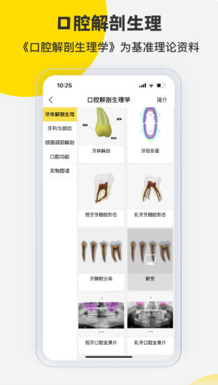 3DBody解剖官方最新版