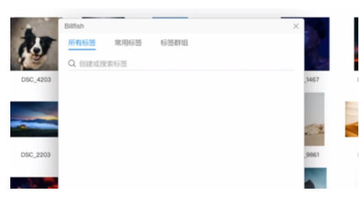 Billfish Mac官方最新版