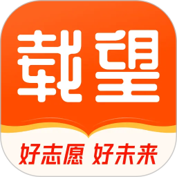 载望志愿