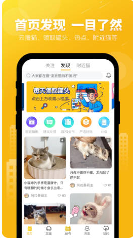 友猫最新官方版