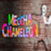 MECCA CHAMELEON