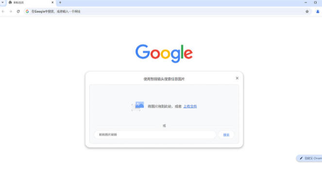 谷歌瀏覽器(Chrome)截圖