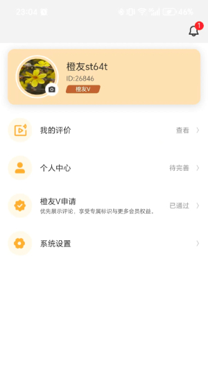 金橙评分截图