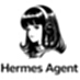 hermes agent