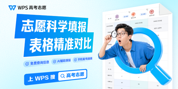 WPS Office