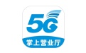 掌上营业厅段首LOGO