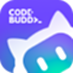 CodeBuddy