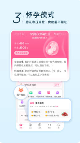 美柚官方最新版
