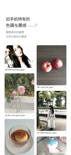 Berry胶片相机截图