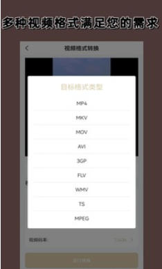 视频格式转换截图