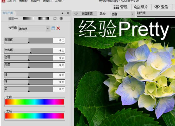 ACDSee截图