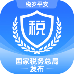 电子税务局