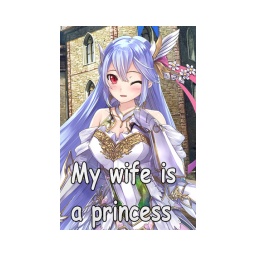 我的老婆是王女大人