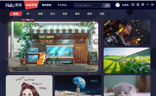 Halo动态壁纸官方最新版