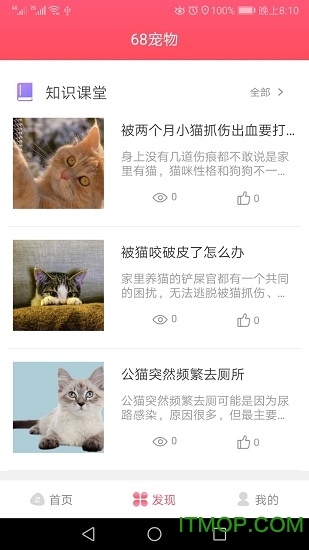 68宠物