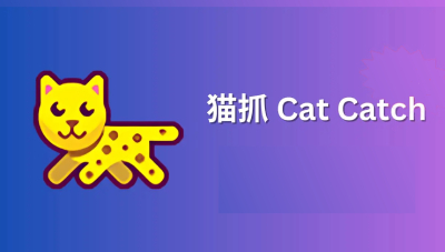 猫抓