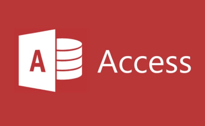 Access软件