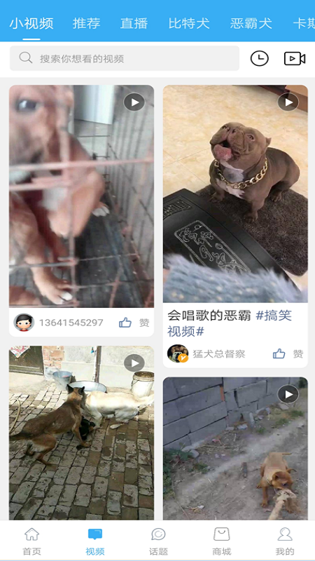 猛犬俱乐部