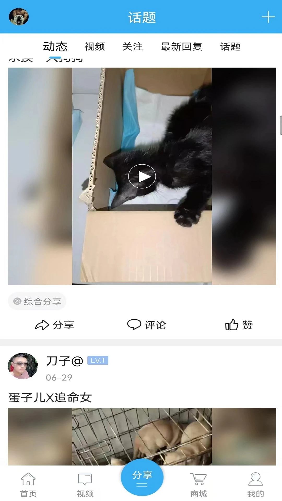 猛犬俱乐部