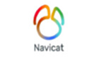Navicat Premium软件专题